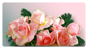 DSC700 062 Bouquet Of Roses Peach